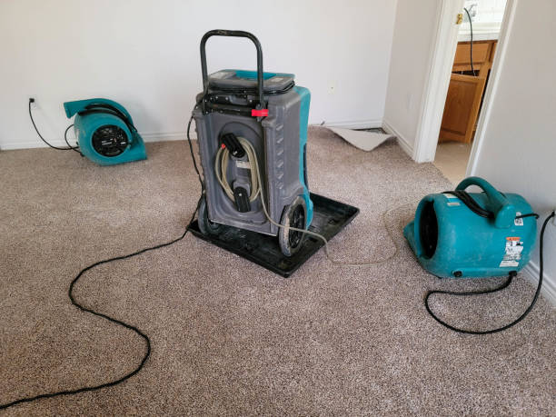 Best Carpet water damage restoration  in Homewood, SC