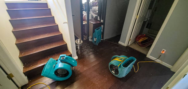 Best Fire Damage Restoration  in Homewood, SC