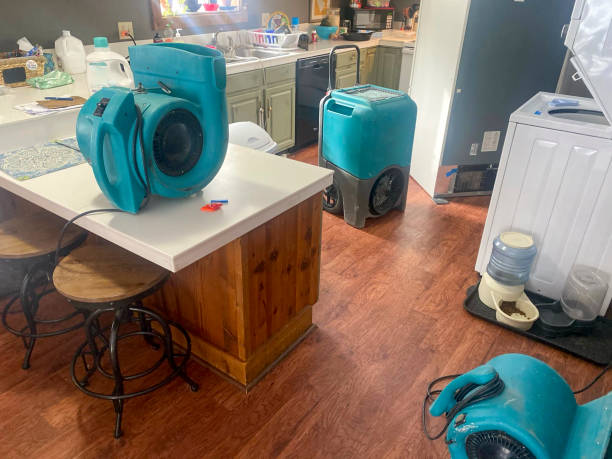 Best Water damage restoration near me  in Homewood, SC