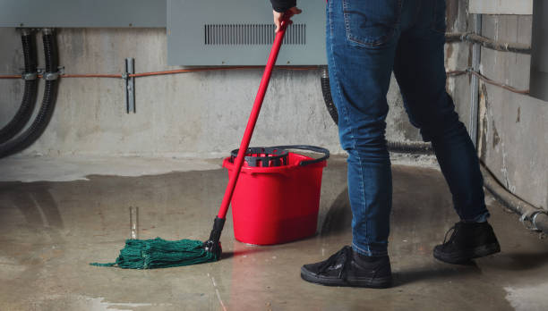 Best 24/7 water damage repair  in Homewood, SC