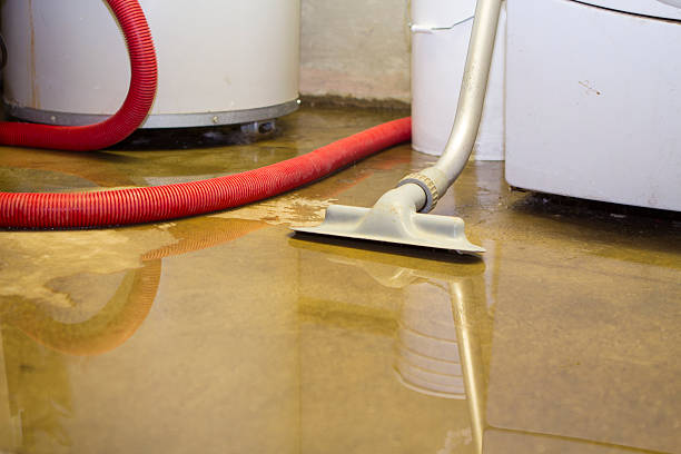 Best Water damage restoration insurance claims  in Homewood, SC