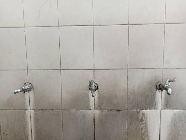 24/7 water damage repair in SC