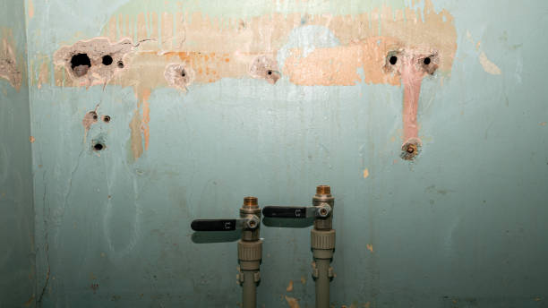 Best Water damage contractors near me  in Homewood, SC