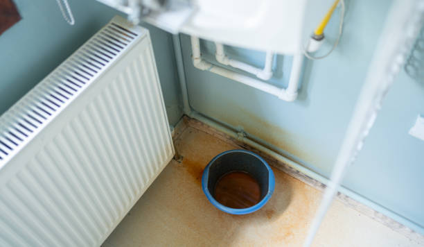 Best Water damage restoration specialists  in Homewood, SC