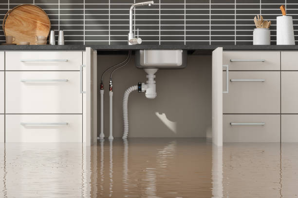  Homewood, SC Water damage restoration Pros