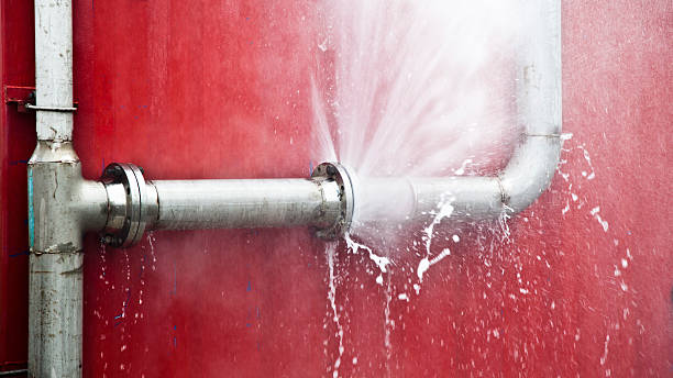 Best Commercial water damage restoration  in Homewood, SC