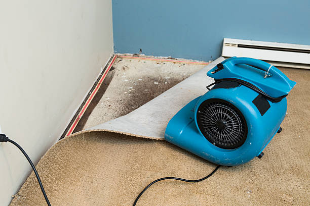 Best Fire Damage Restoration  in Homewood, SC