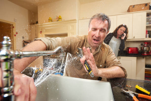Best Fire Damage Restoration  in Homewood, SC